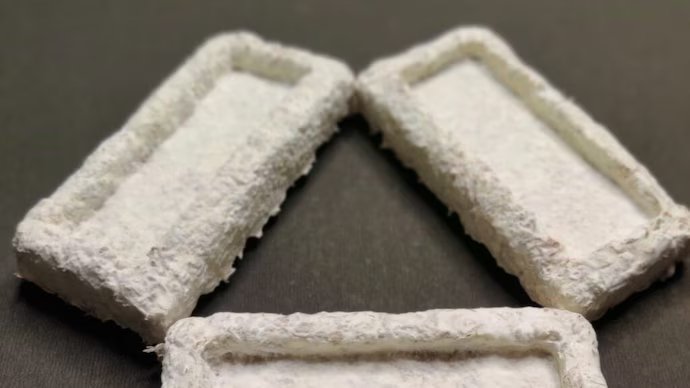 IIT Madras Develops Eco-Friendly Packaging from Agricultural Waste